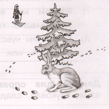 Задание рисунок 1