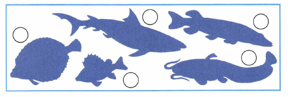 Задание рисунок 1