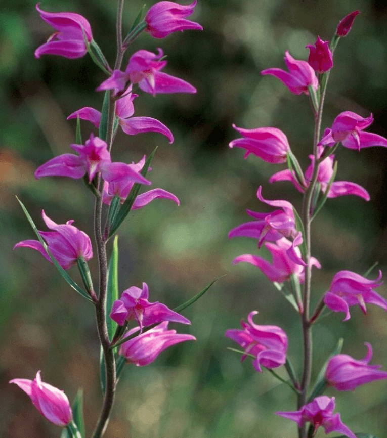 Решение рисунок 4