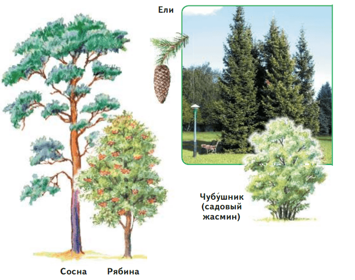Задание рисунок 2