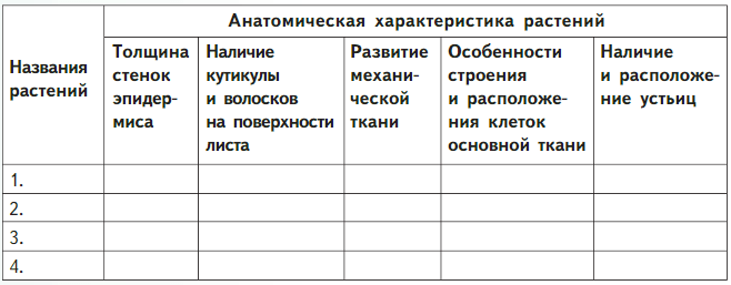 Задание рисунок 1
