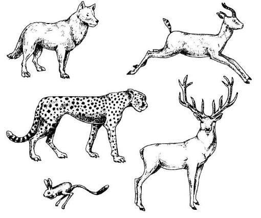 Решение рисунок 2