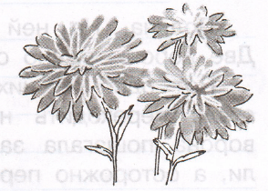 Задание рисунок 2