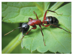 Задание рисунок 2